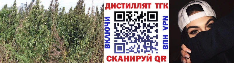 наркотики  Каспийск  Дистиллят ТГК вейп 