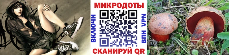 Псилоцибиновые грибы Psilocybe даркнет сайт Каспийск
